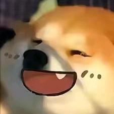 炫彩熊猫头像
