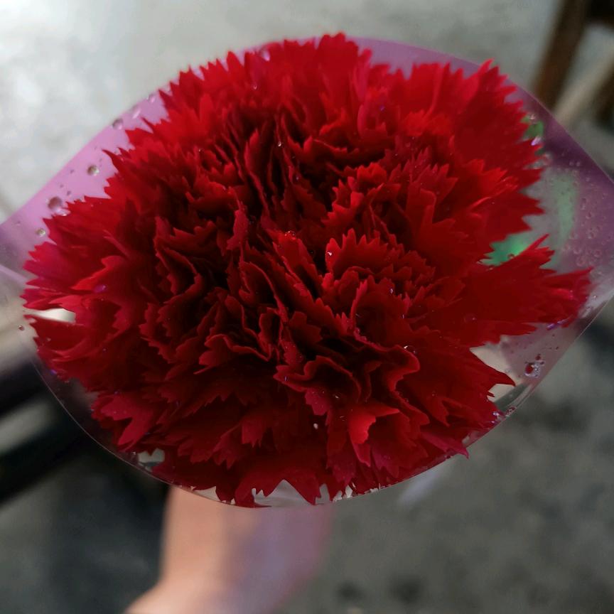 不强势，弱给谁看！