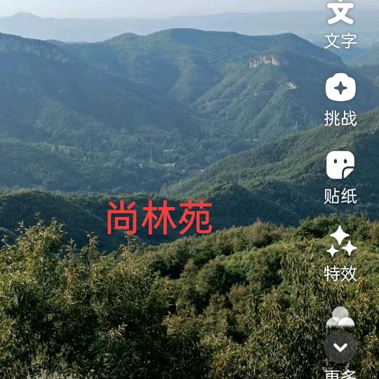 自由人生