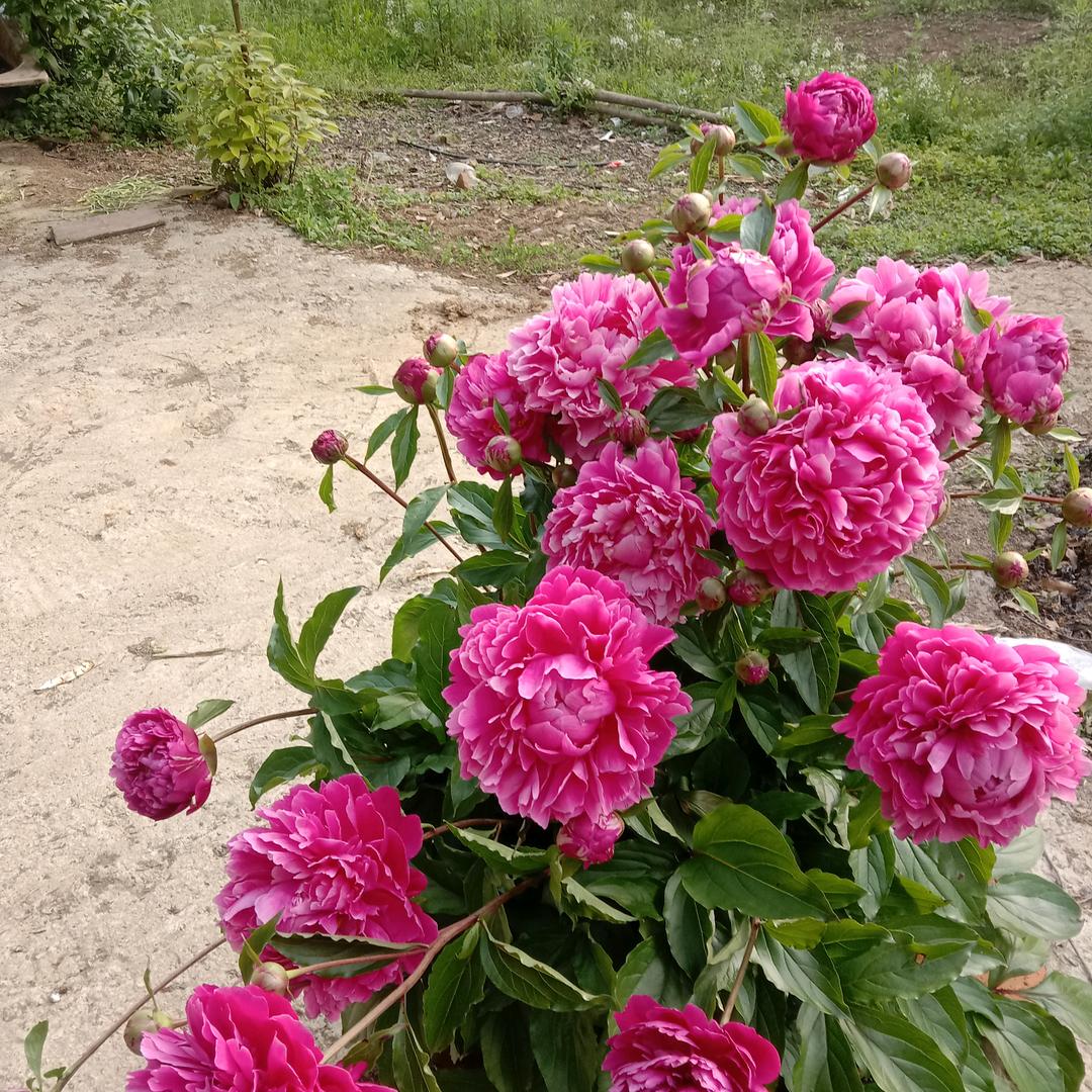 心❤️开心每一天