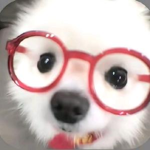 一耳屎