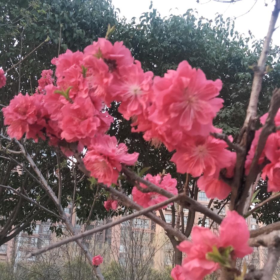 不忘初心，牢记使命。