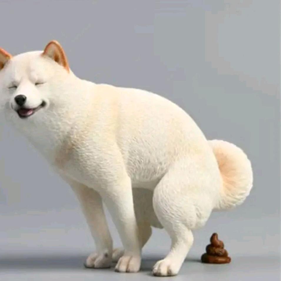 九条鱼