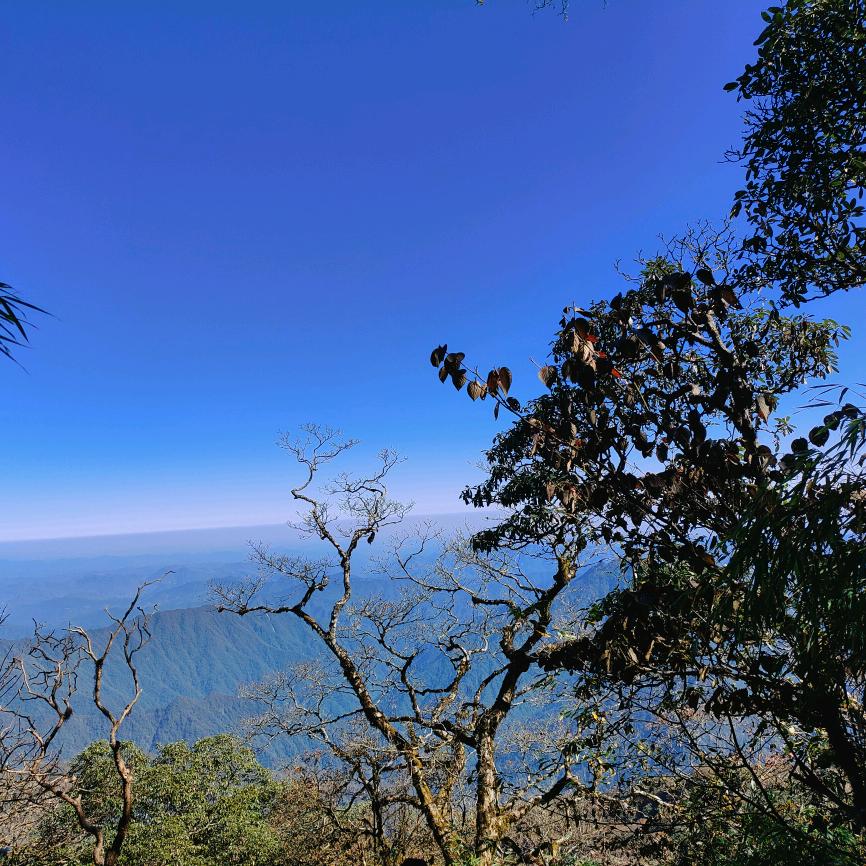 奶油