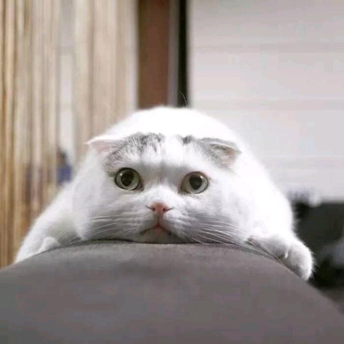 入了心的人👨‍❤️‍💋‍👨