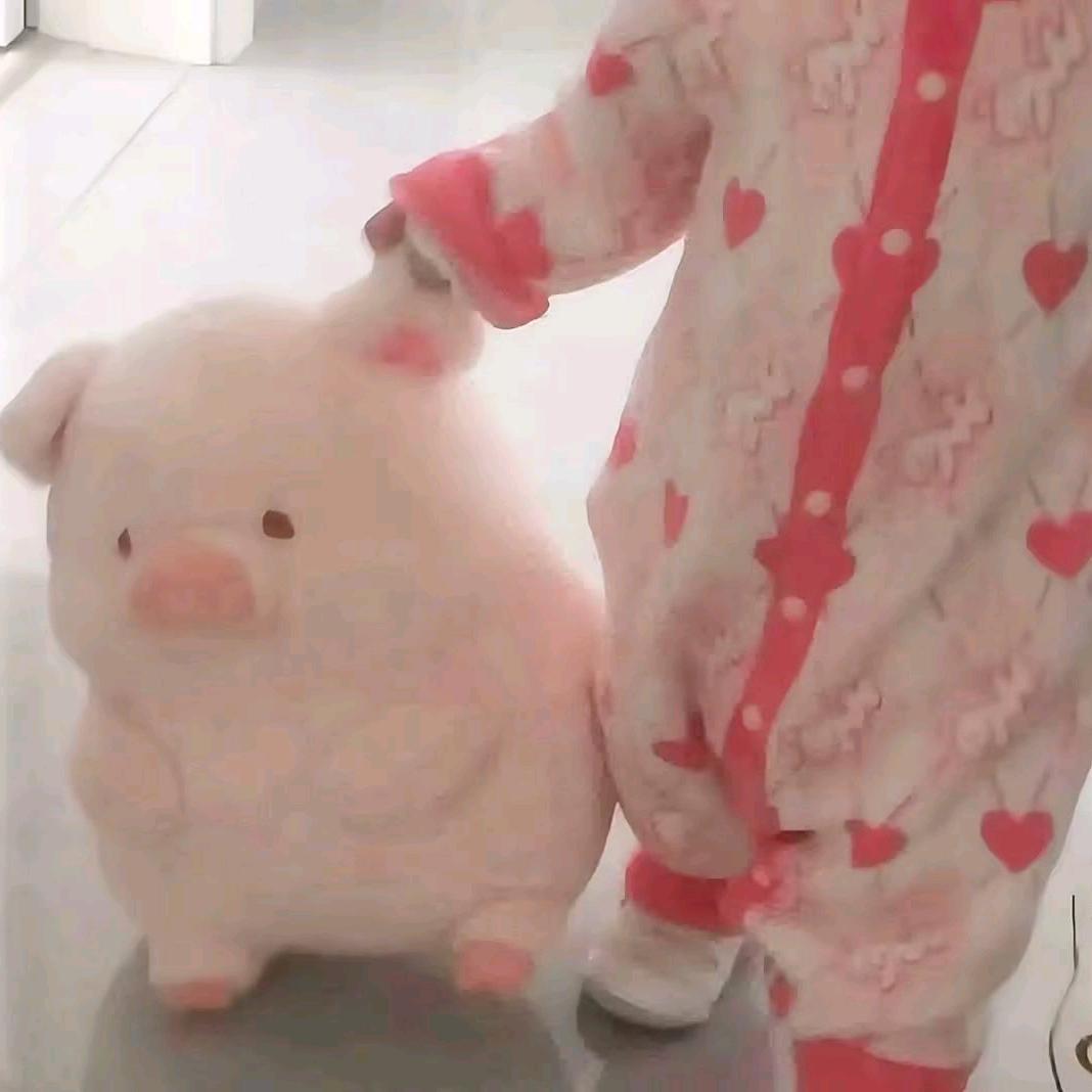 小诺米