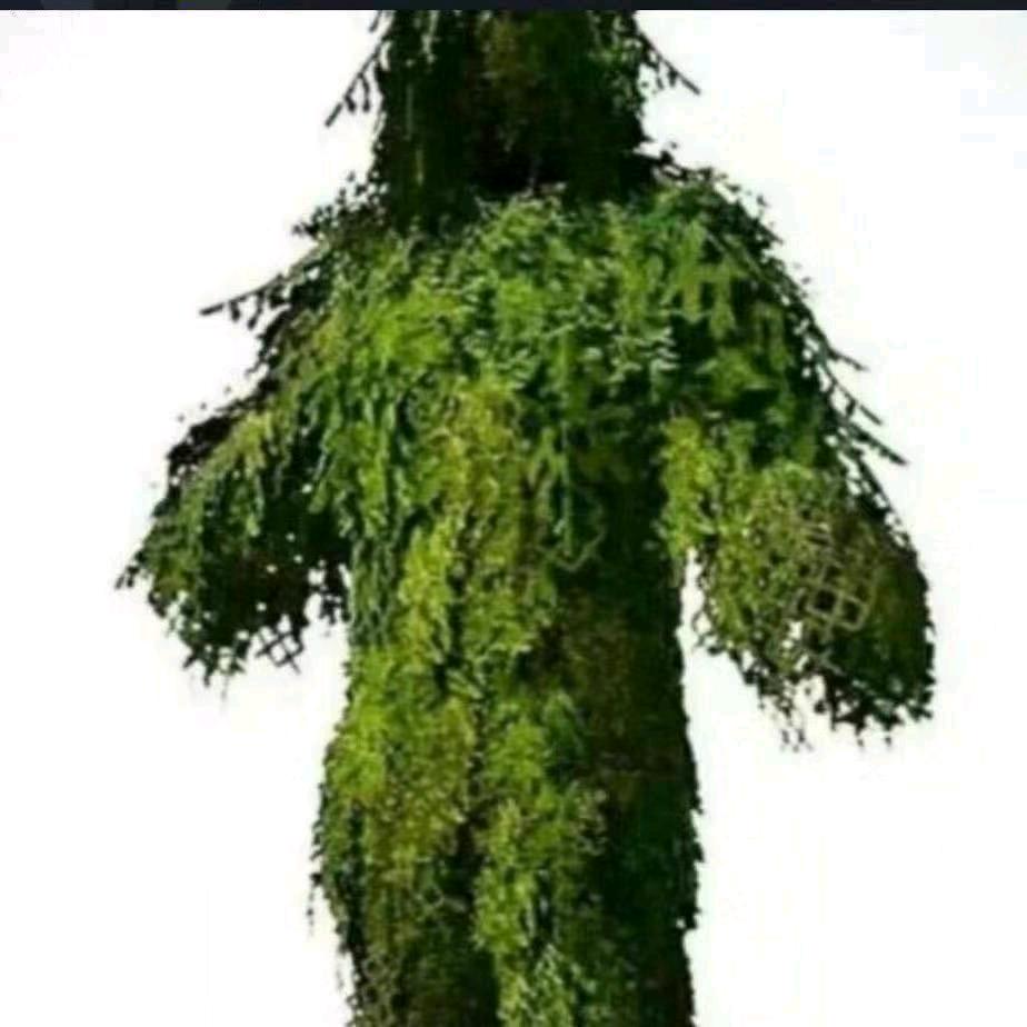 天黑请一一闭眼