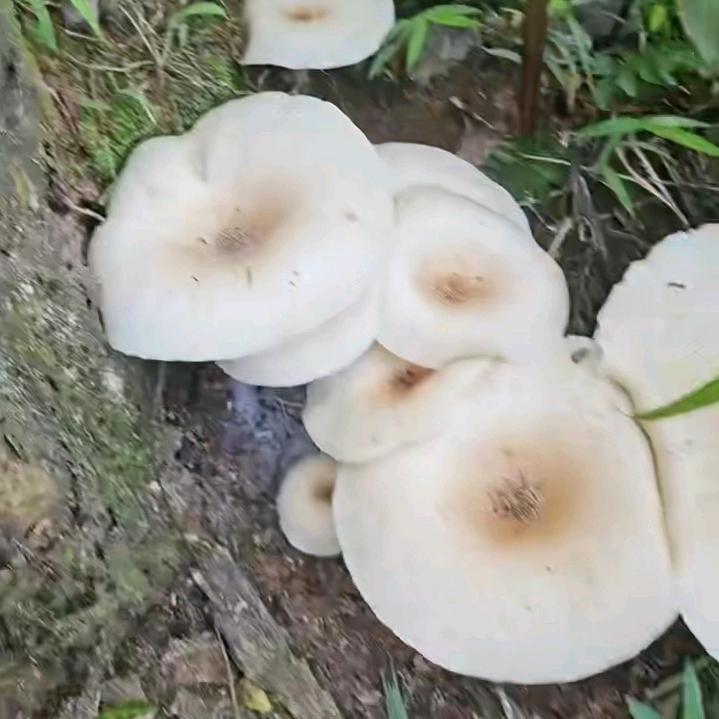 合水人家台风爱好者