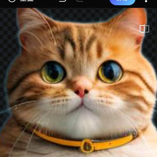 小花猫