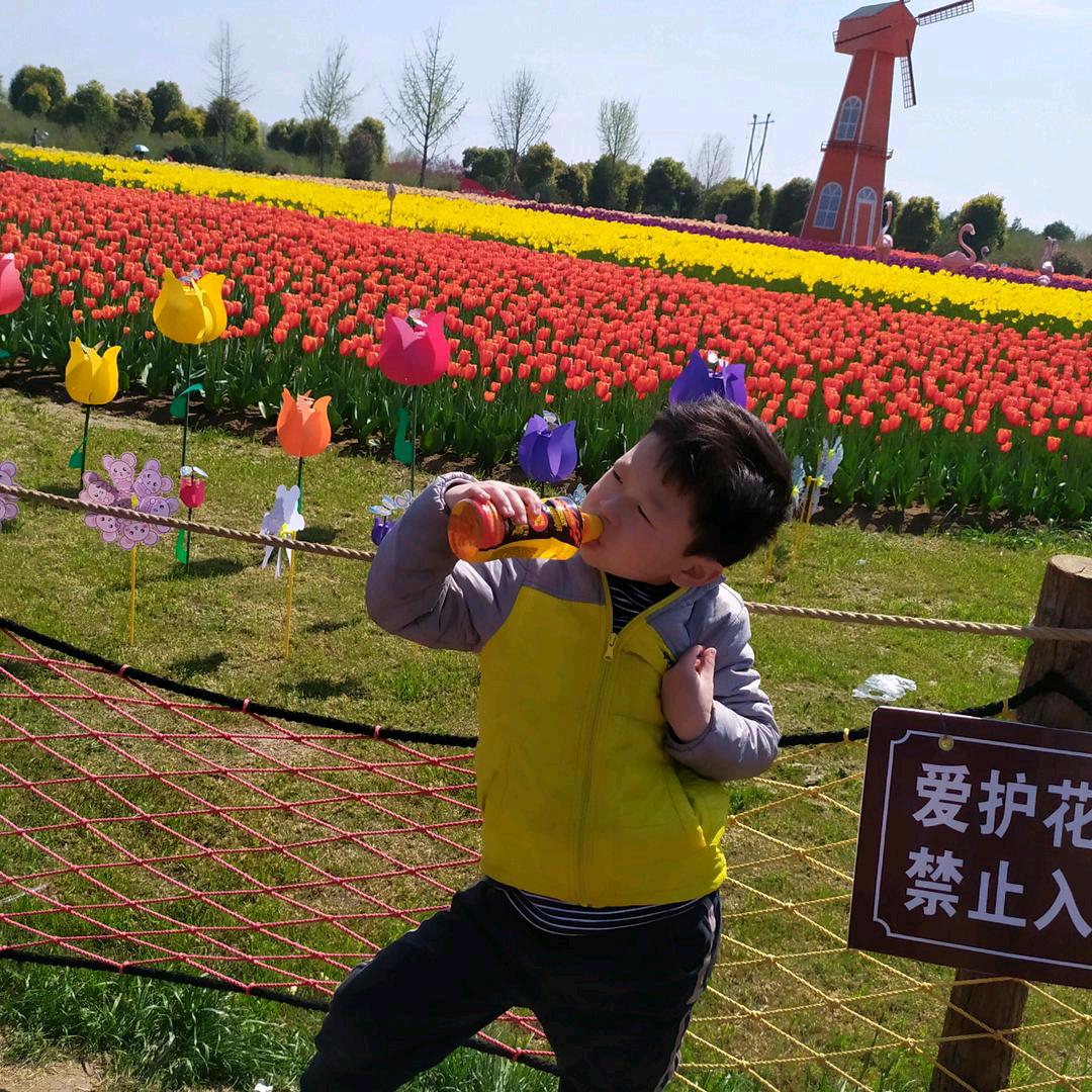 马玲化肥烟酒烟花