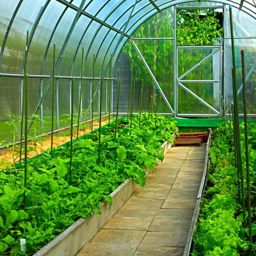 北京大兴鑫选甄品店