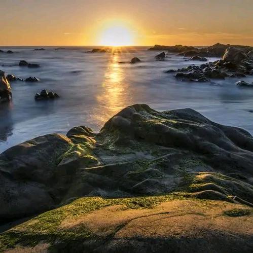 数码科技selfoperate