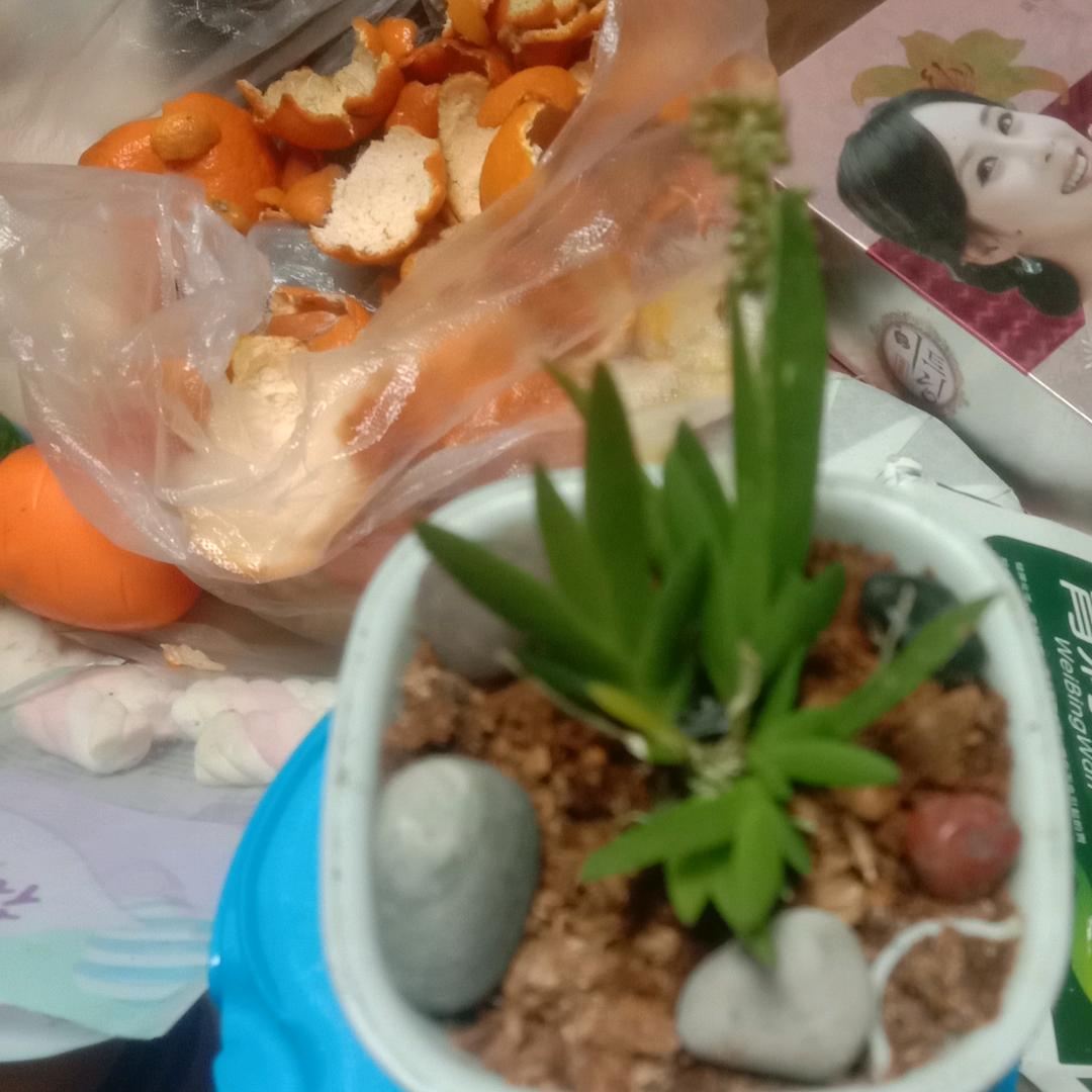 一路平安✔