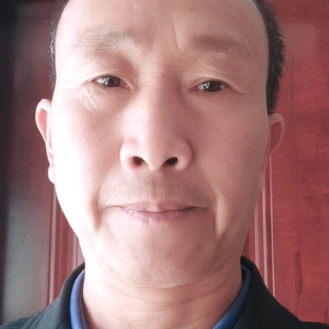 6月的羊