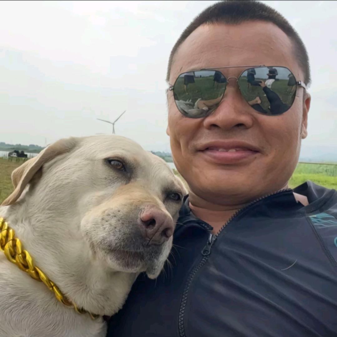 AA啵啵（高价收🚗）