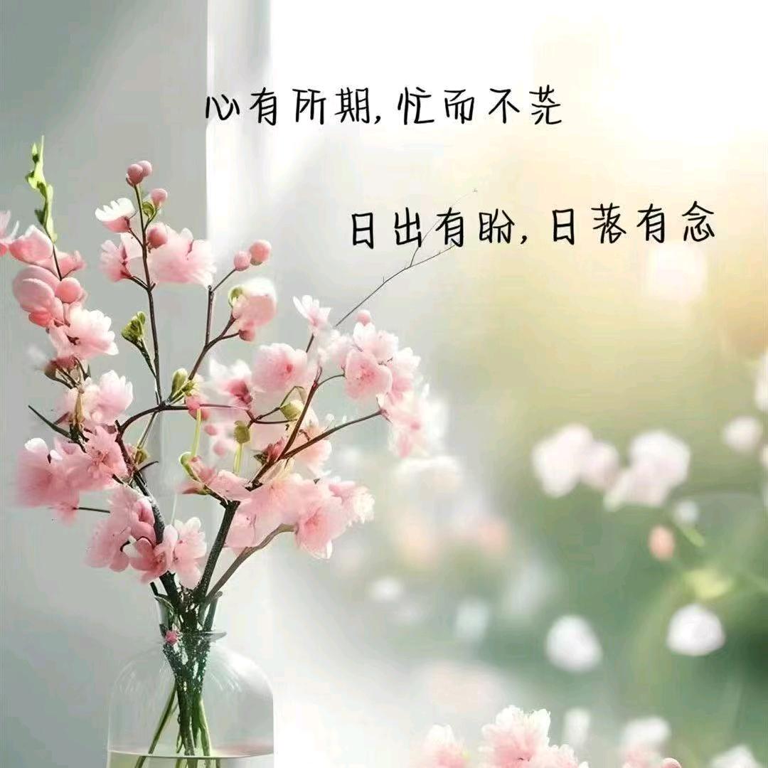 微胖大姨