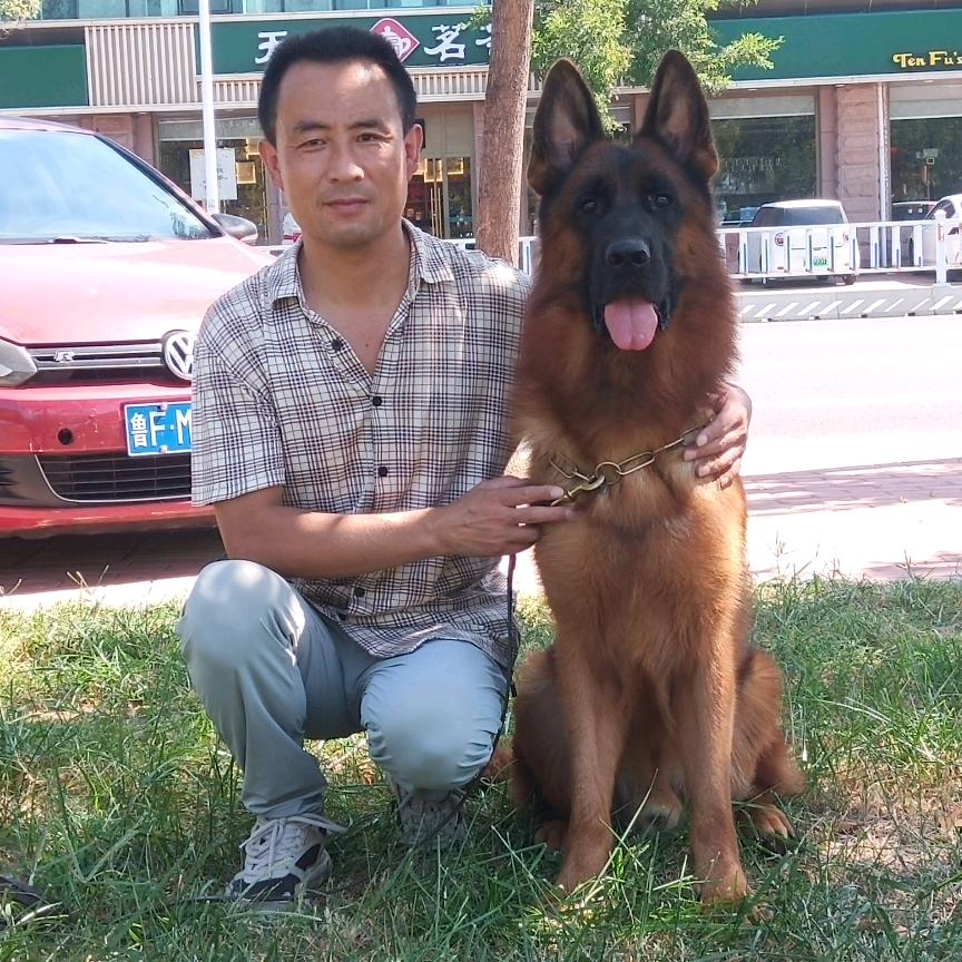 鹏飞宏运