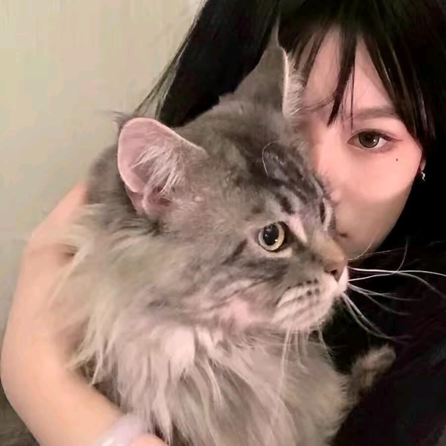 六六每日分享好物