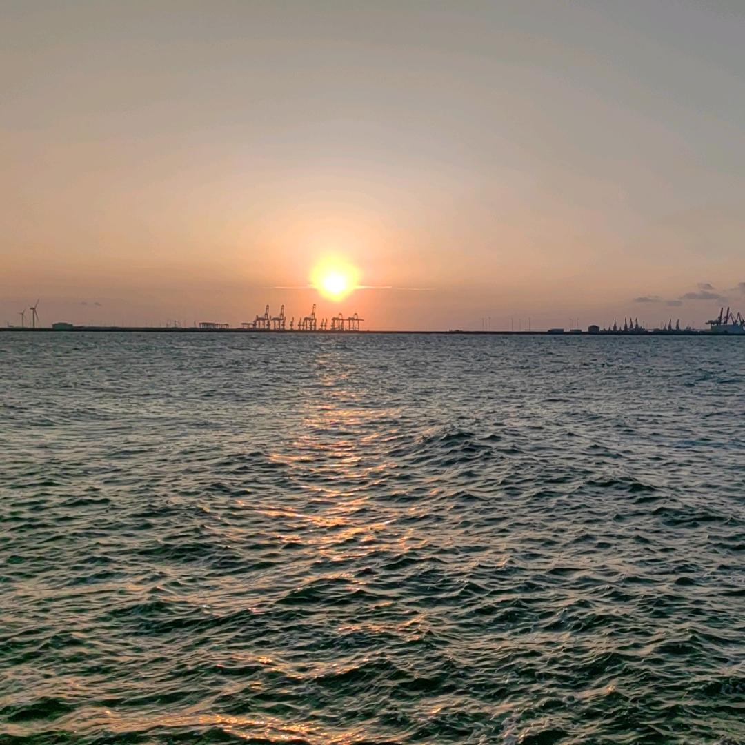 东 哥