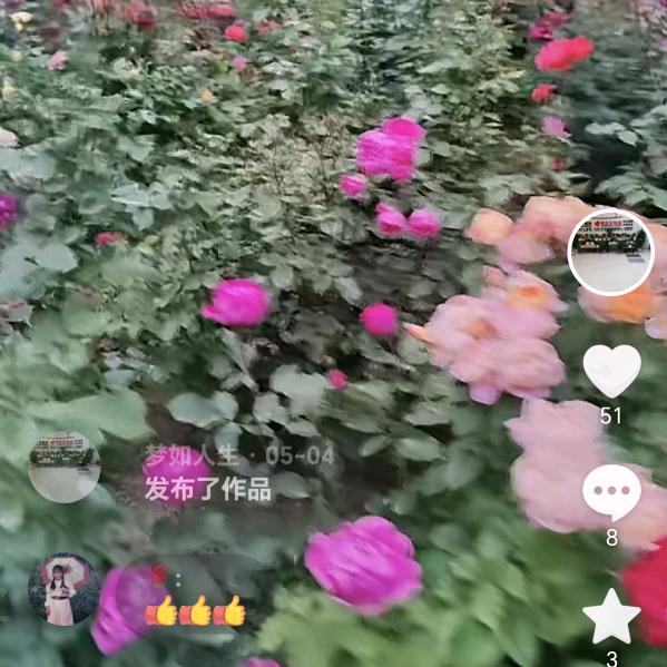 人生不易，珍惜未来。