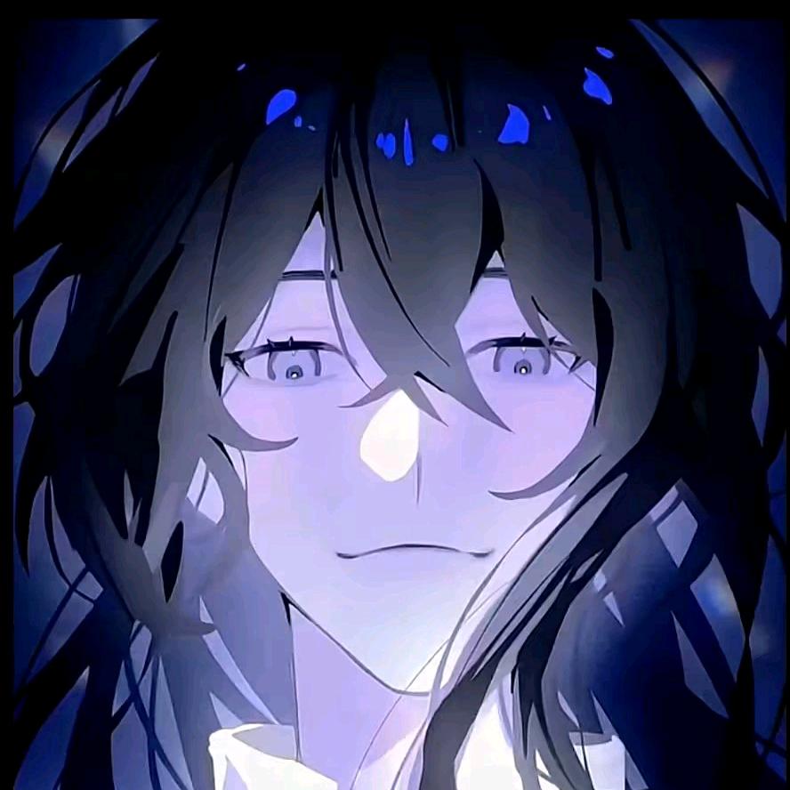 @一只柴喵酱🐾