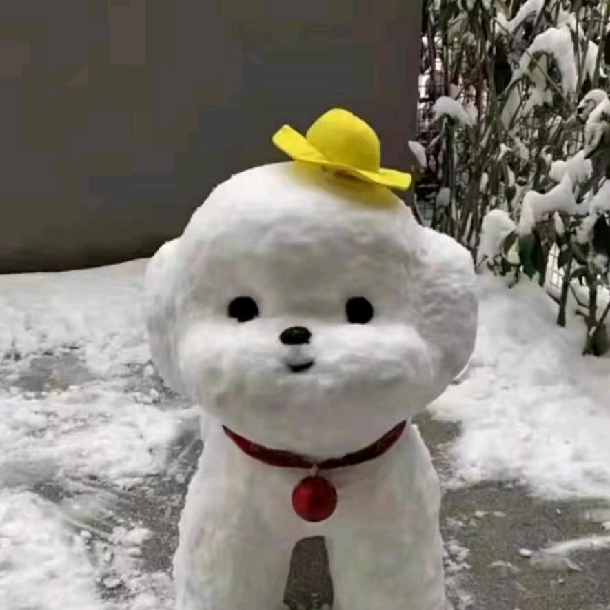 蓝莓