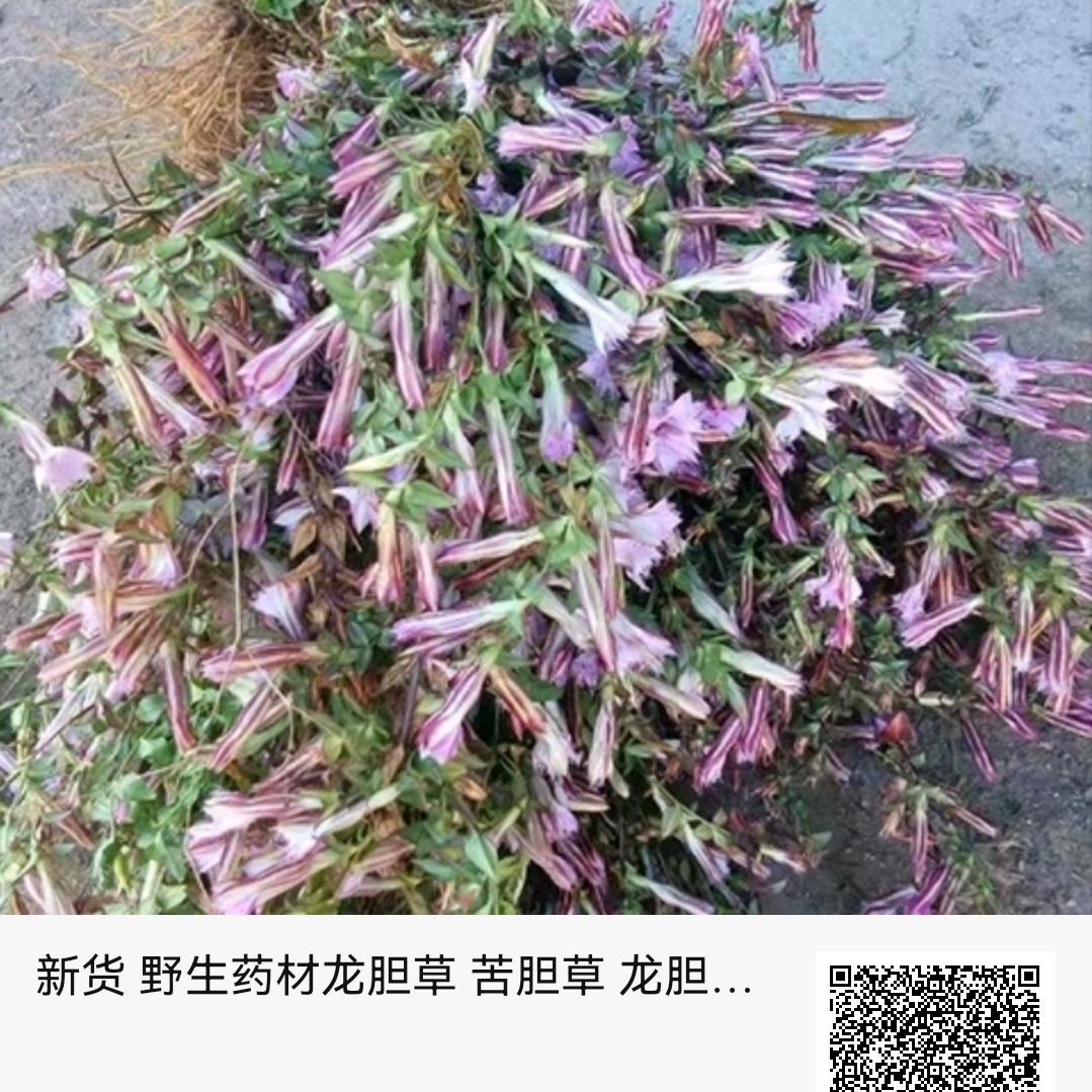 忘掉所有的烦恼。