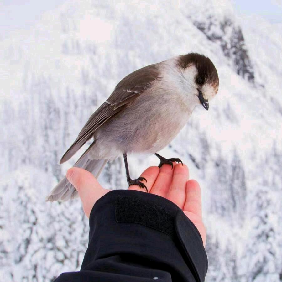 𝒀𝑳𝑮 ²²⁶LAB彬🍊