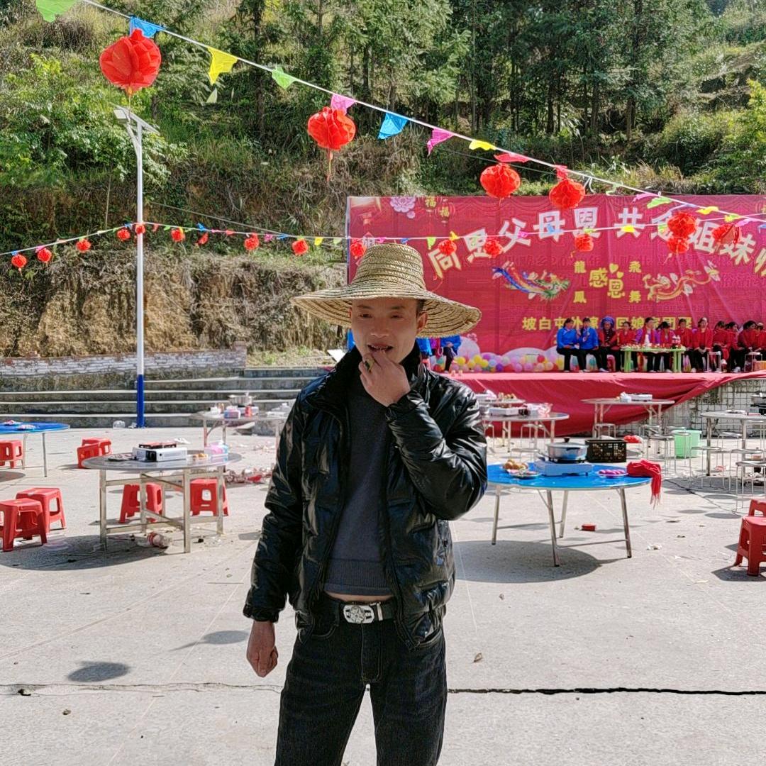 实战田园犬 中华土猎