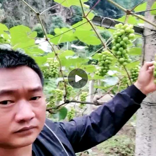 承蒙厚爱