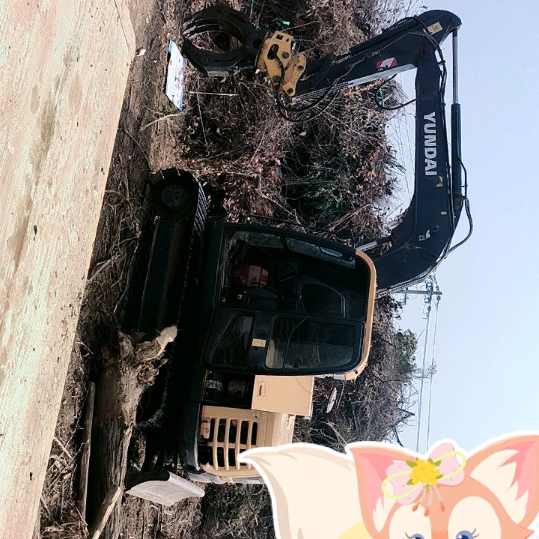 专业清理园林，大量收购、树根、树枝、杂木