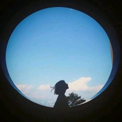 菜菜
