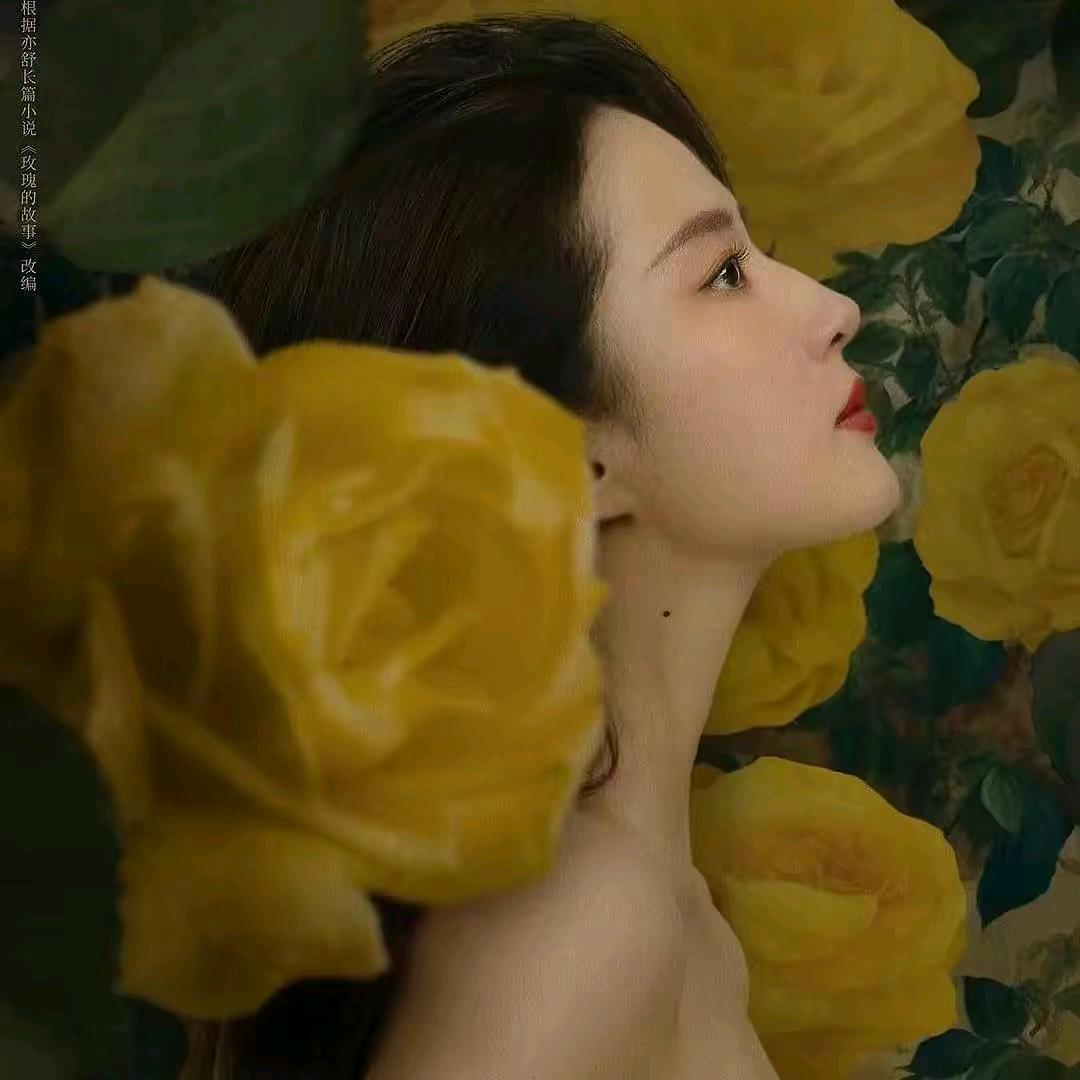 飞鸟爱上了鱼