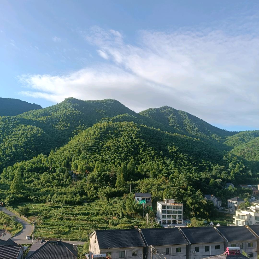 凤鸣岐山