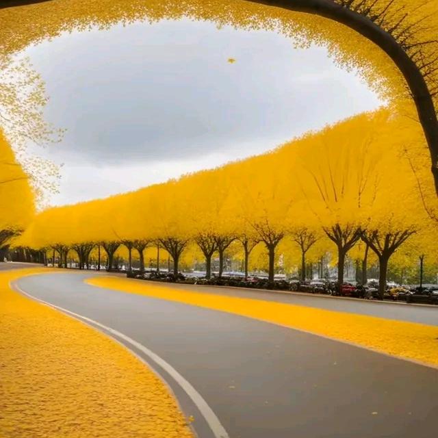 冯鲲鹏