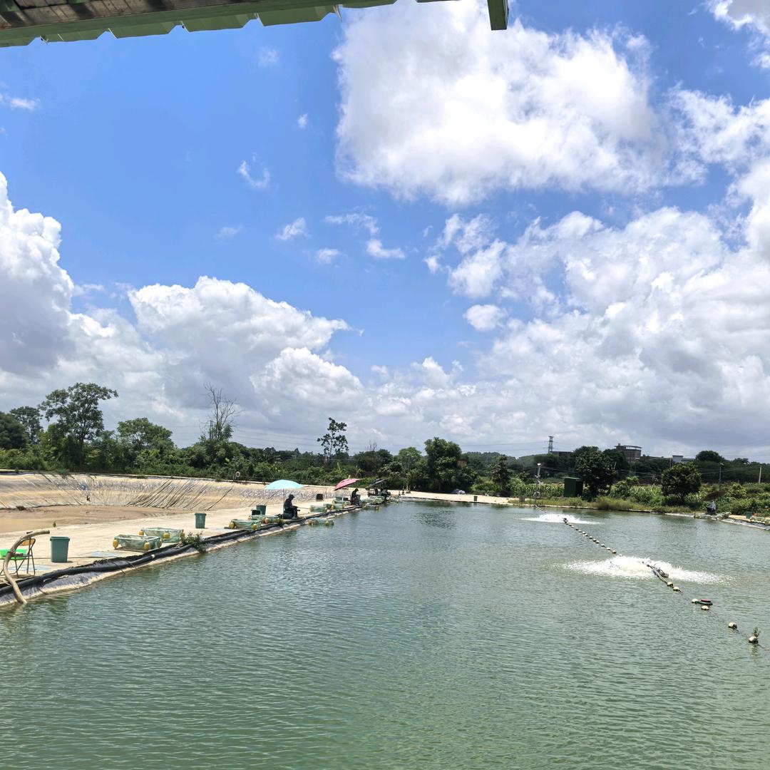 南宁佳运钓场