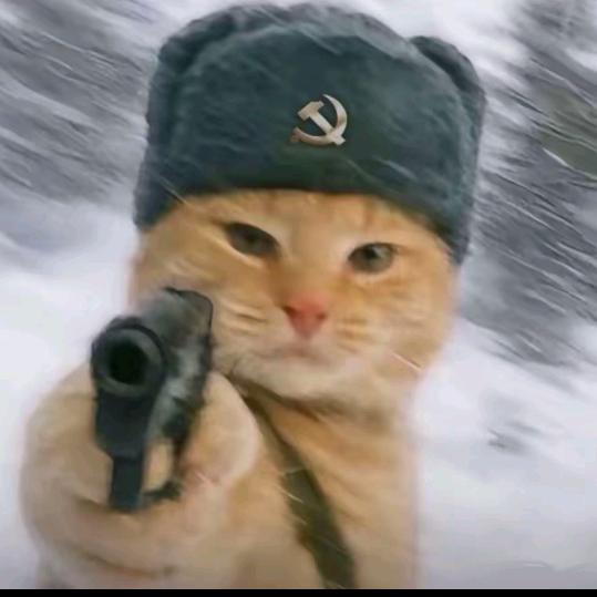 魅力无限