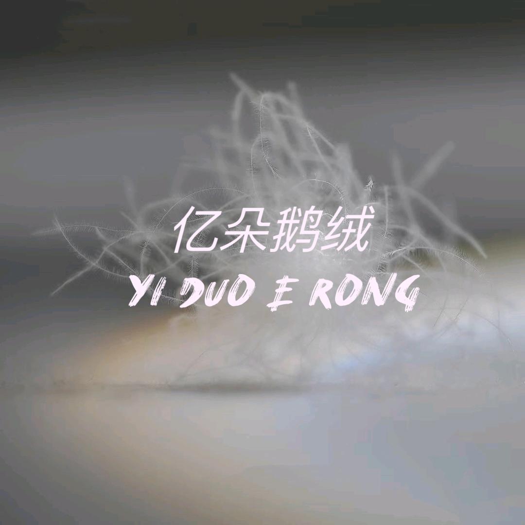 亿朵鹅绒（高端定制）