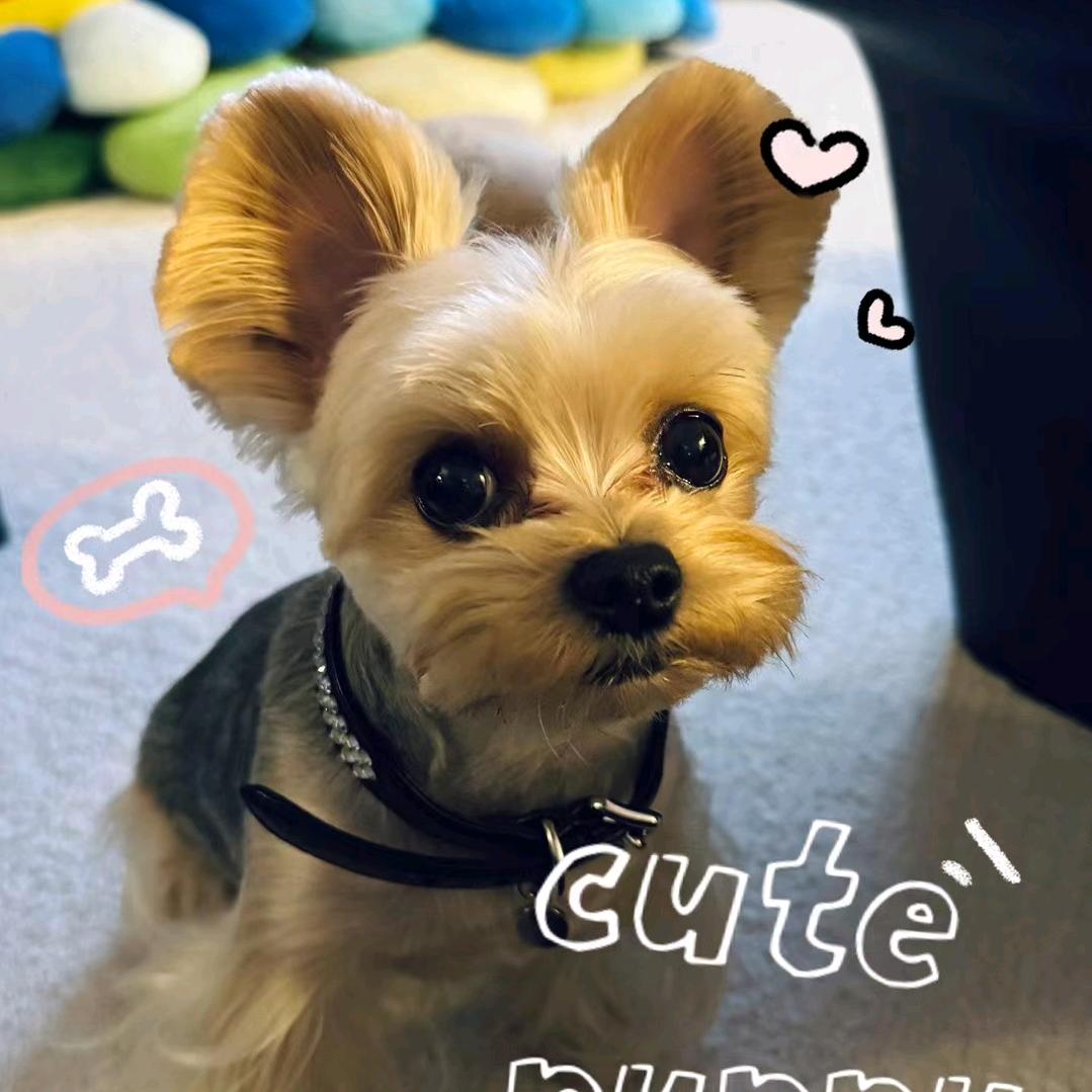 贝勒爺9💜