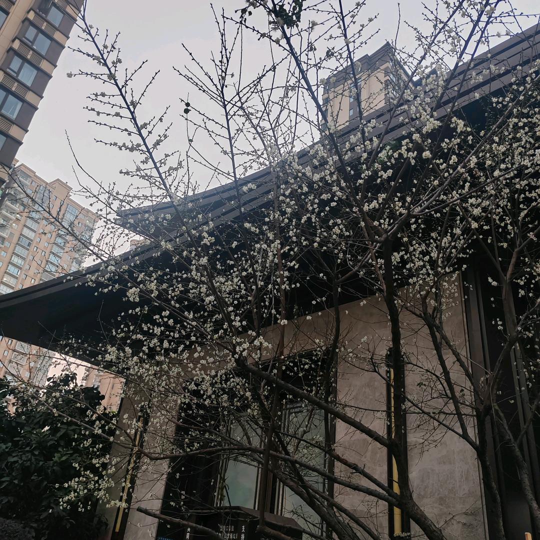 来去自如