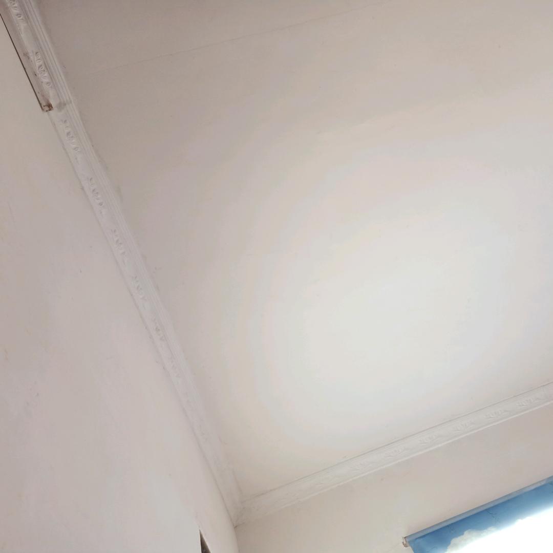 🐶我至少还有你