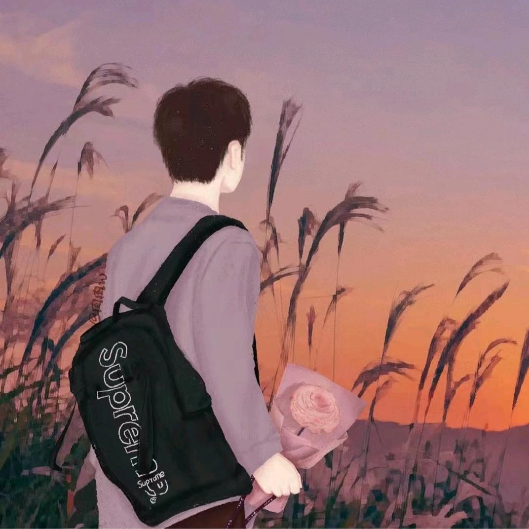 追星赶月