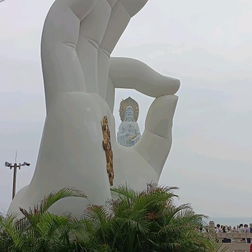 上海浪哥