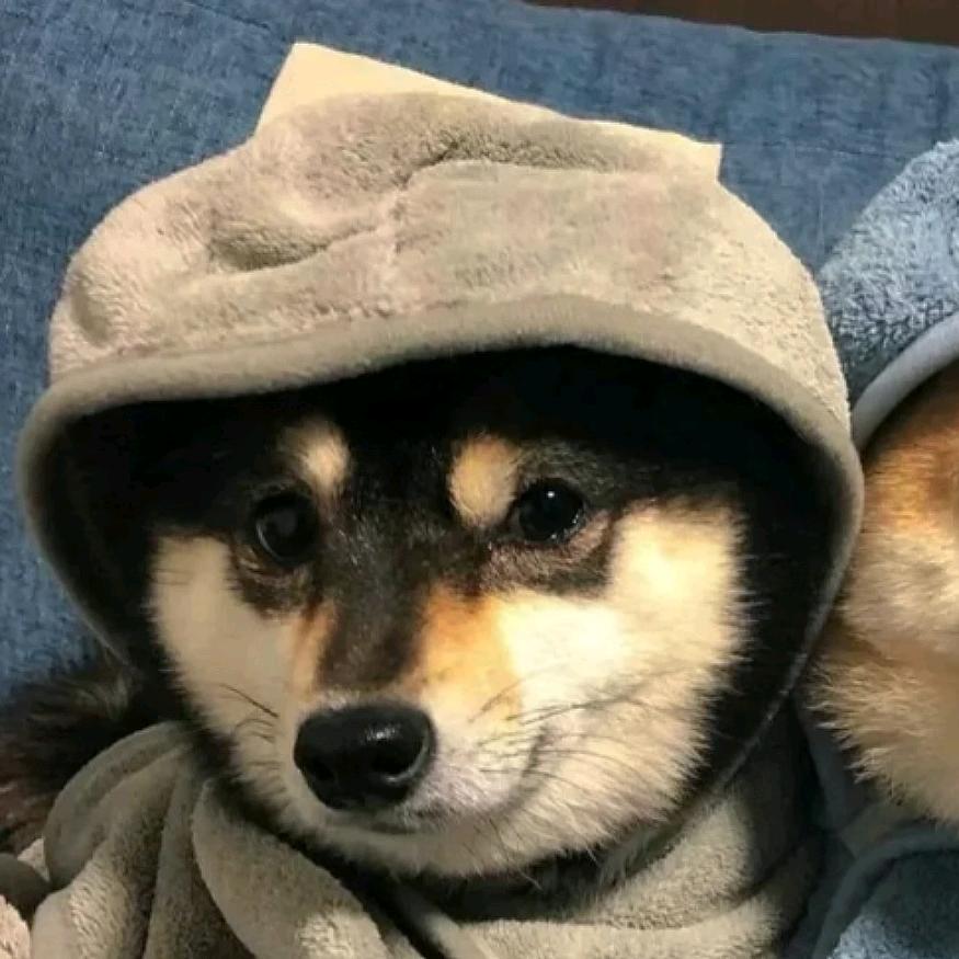 朽木可雕也