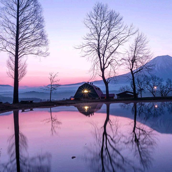 花花世界