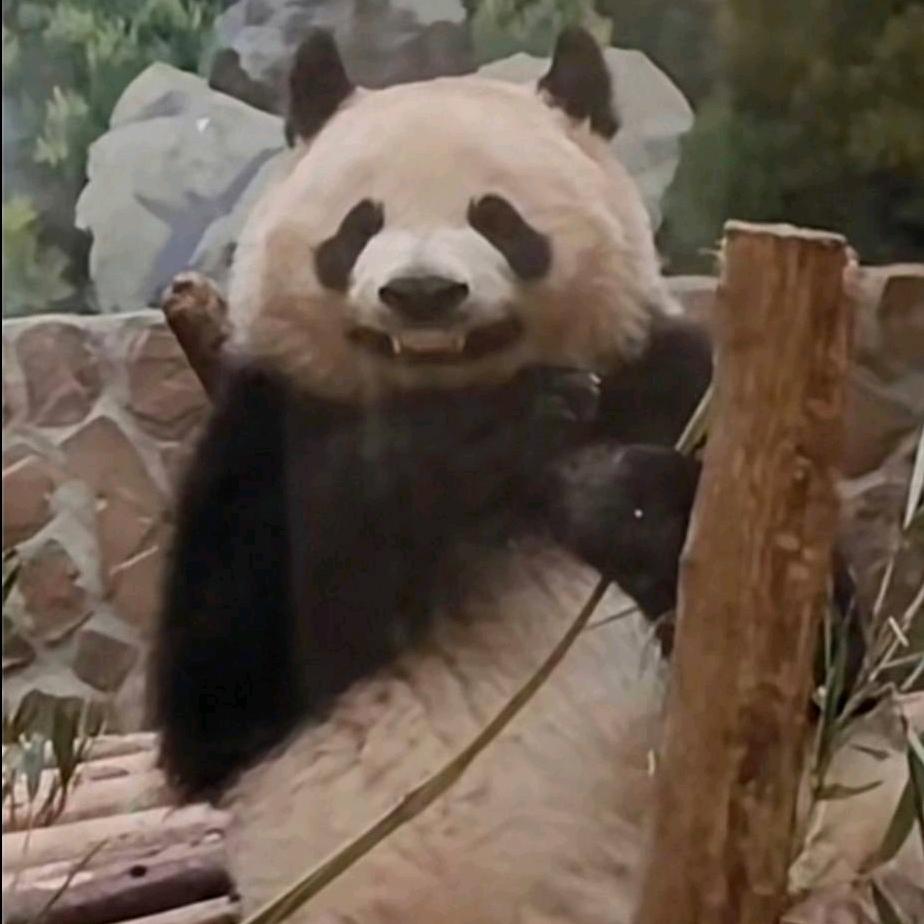 涂荳头像