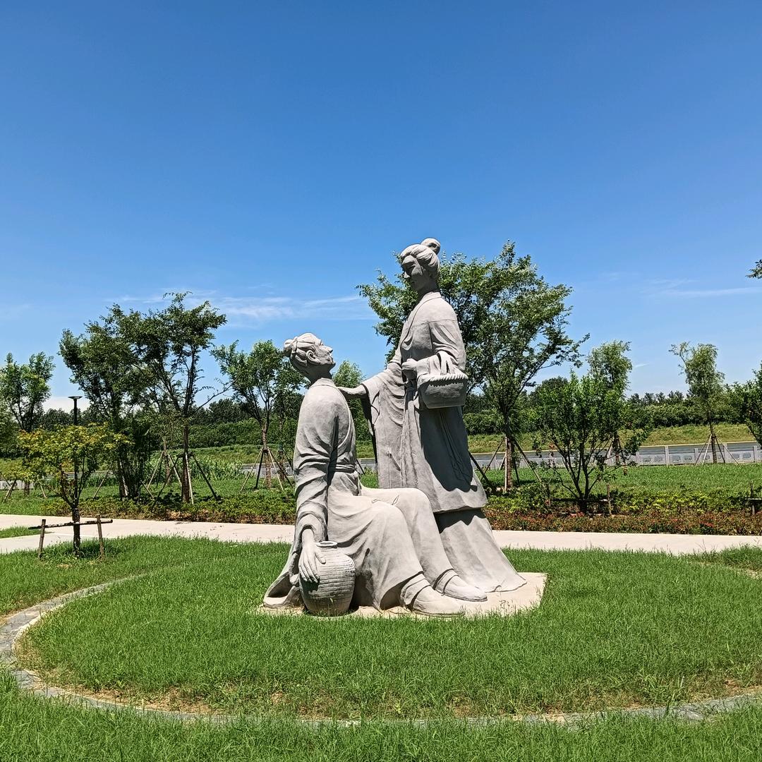 蔬菜种植户之水芹菜