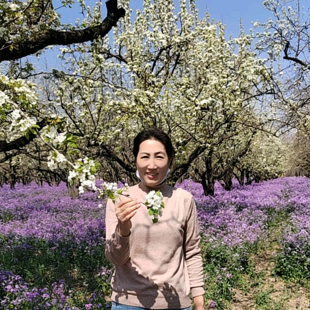 山茶花