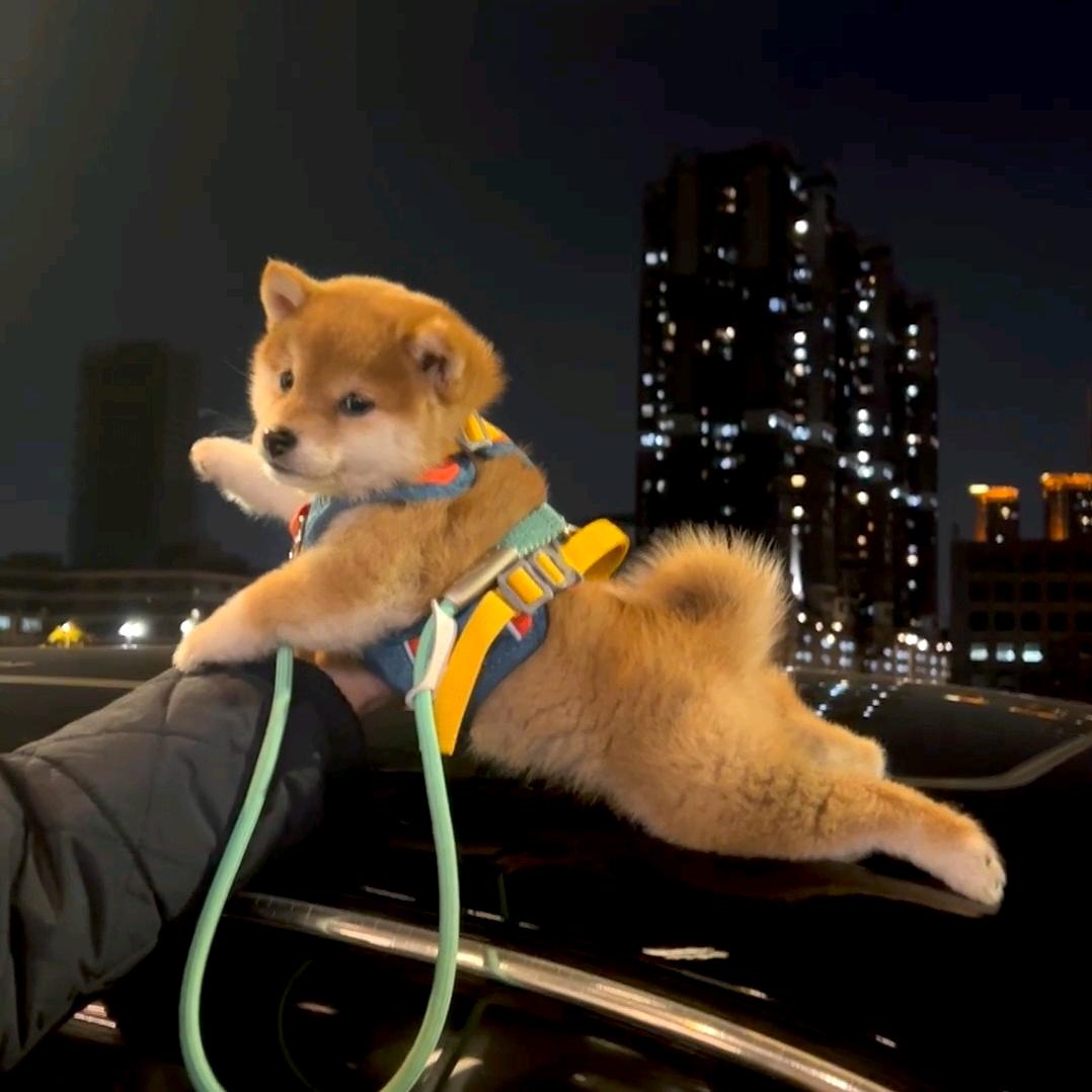 今天健身了吗