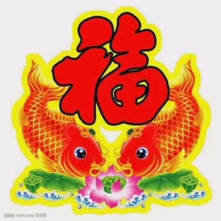 用户仙人掌？